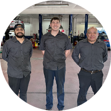 Professional Technicians
