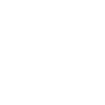 digital vehicle inspection 01