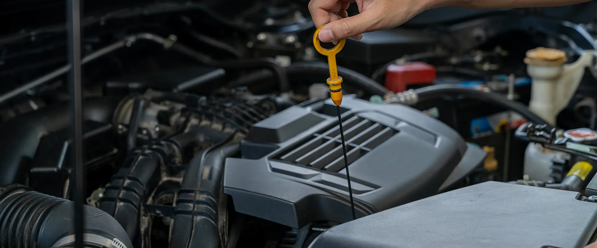 Oil Change in Palo Alto, CA near Palo Alto, CA